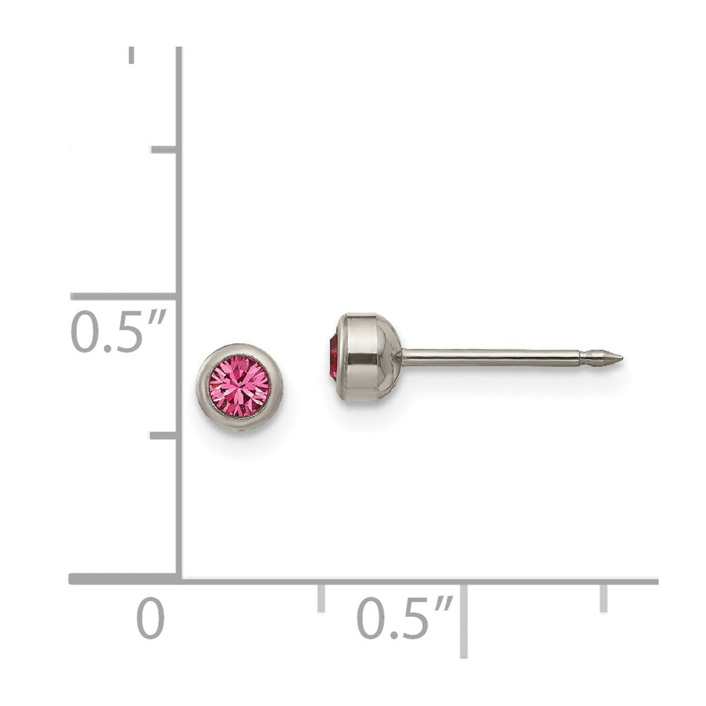19E Inverness Titanium 4mm Rose Crystal Bezel Earrings