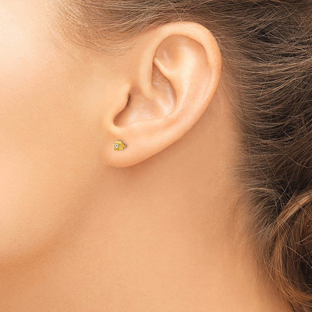 24E Inverness Stainless Steel 24K Gold-plated Star with Crystal Earrings