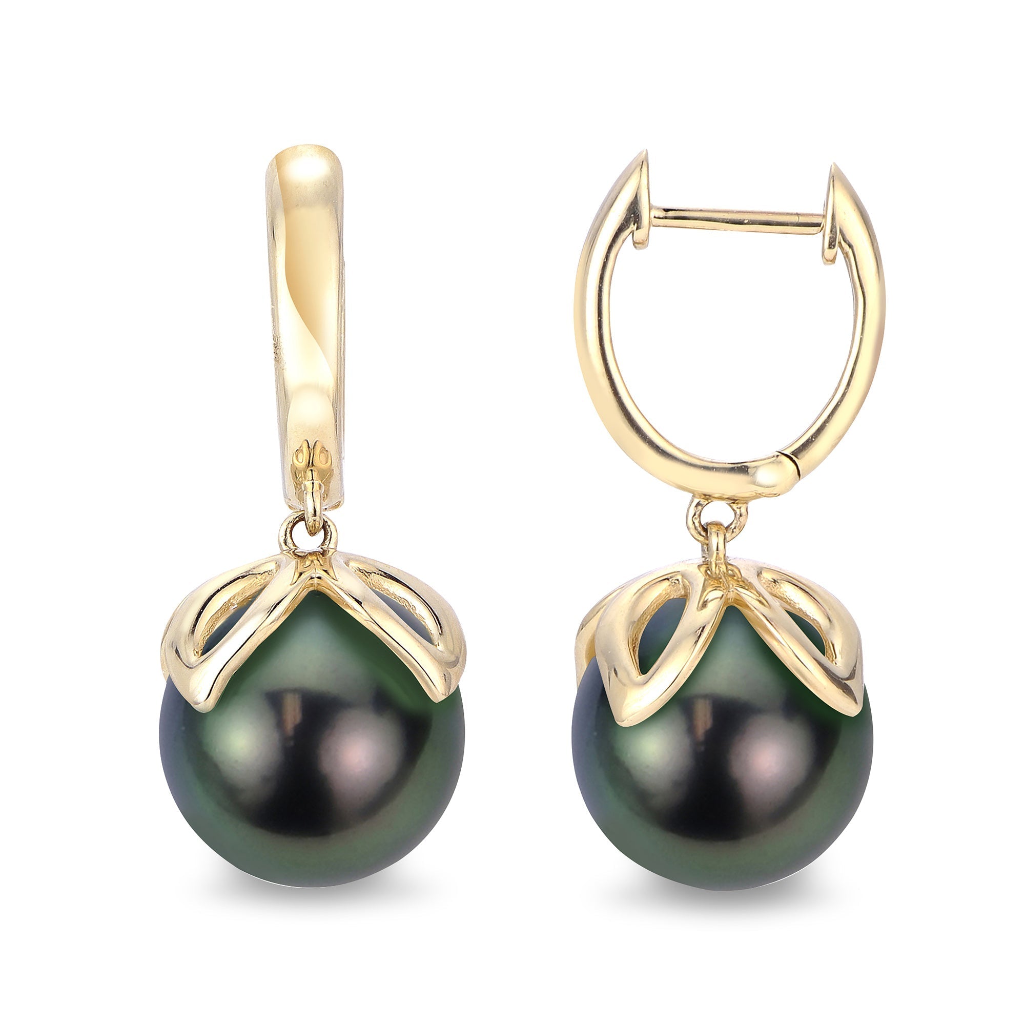 Parkplace Pearls 14KT Yellow Gold Tahitian Pearl Earring 922008/BGRN