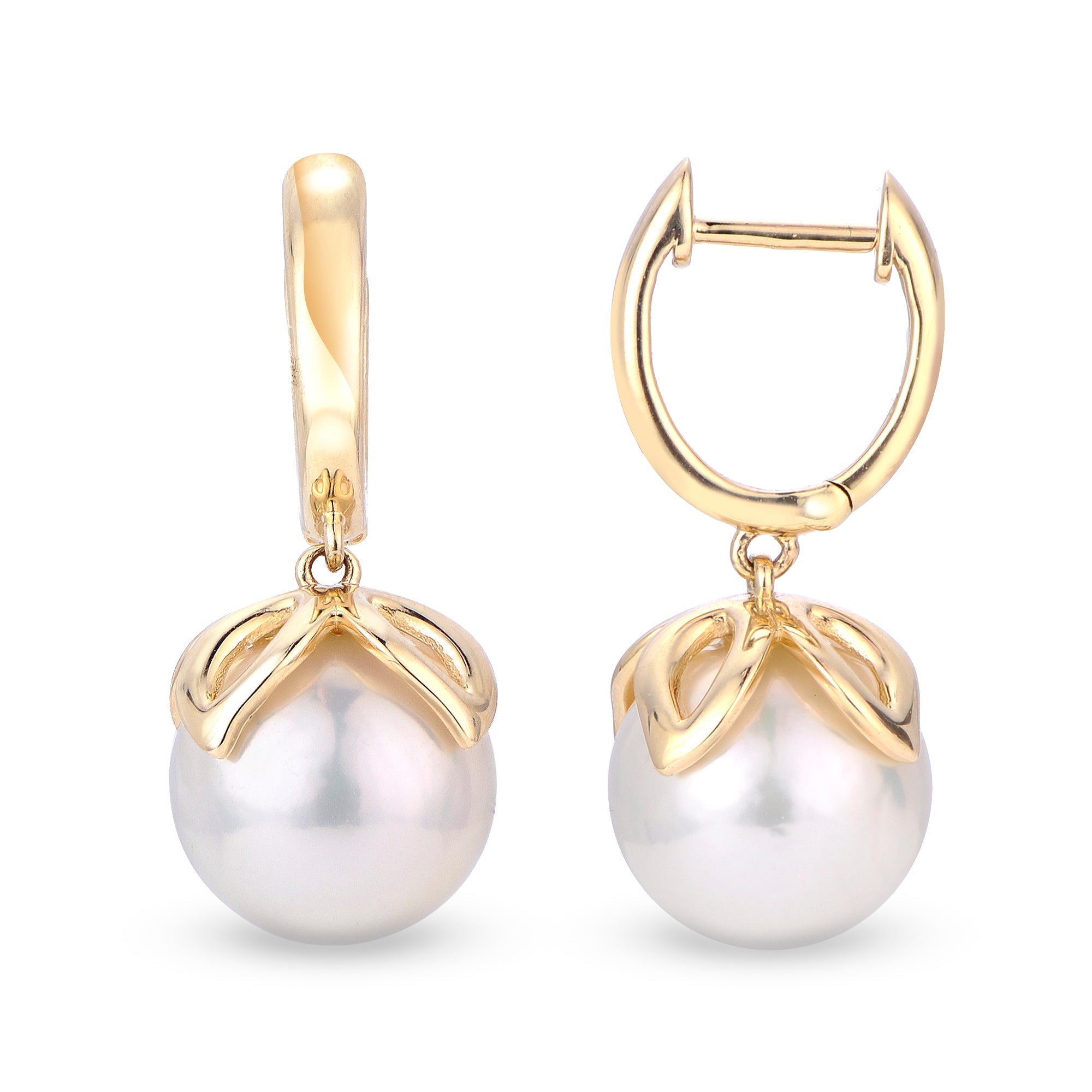 Parkplace Pearls 14KT Yellow Gold Freshwater Pearl Earring 922008/FW