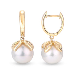 Parkplace Pearls 14KT Yellow Gold Freshwater Pearl Earring 922008/FW