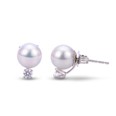 Parkplace Pearls 14KT White Gold Akoya Pearl Earring 924177/AWH