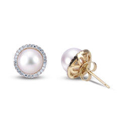 Parkplace Pearls 14KT Yellow Gold Akoya Pearl Earring 926530/A