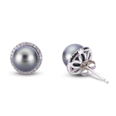 Parkplace Pearls 14KT White Gold Tahitian Pearl Earring 926530/BWH