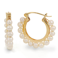 Parkplace Pearls 14KT Yellow Gold Freshwater Pearl Earring 926724/FW
