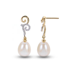 Parkplace Pearls 14KT Yellow Gold Freshwater Pearl Earring 927377/FW