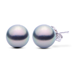 Parkplace Pearls 14KT White Gold Tahitian Pearl Earring 927500/BWH