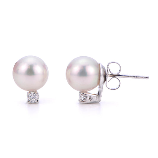 Parkplace Pearls 14KT White Gold Akoya Pearl Earring 927546/AAWH