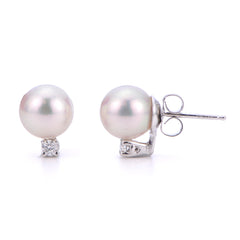 Parkplace Pearls 14KT White Gold Akoya Pearl Earring 927546/AAWH