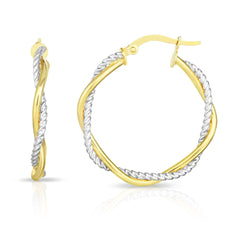 Two-tone Gold Polished Fashion Hoop Earring