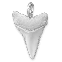 Sterling Silver Rhodium-Plated Brushed and Polished Great White Shark Tooth Pendant PLP-406