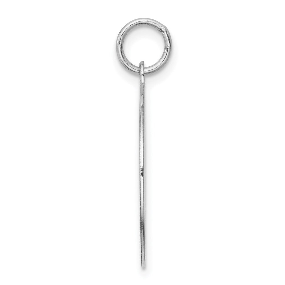 Sterling Silver Rhodium-plated Beagle Disc Charm QC2672