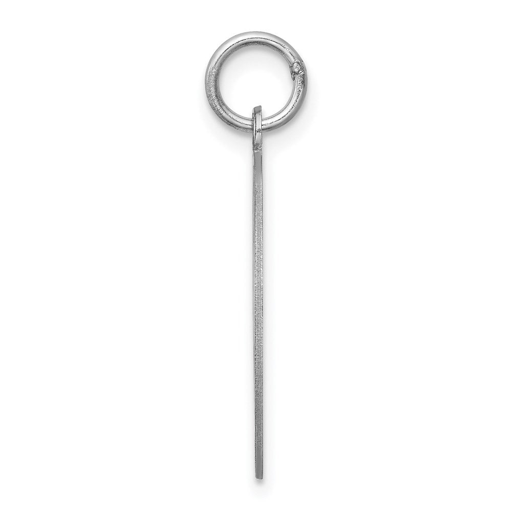 Sterling Silver Rhodium-plated Brittany Spaniel Disc Charm QC2675