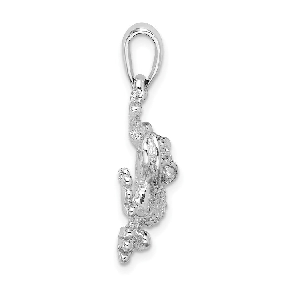 De-Ani Sterling Silver Rhodium-Plated Polished and Textured Frog Hanging by Leg Pendant QC9930