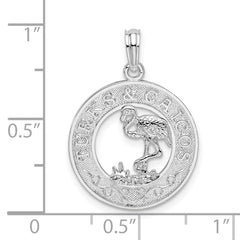 De-Ani Sterling Silver Rhodium-Plated Textured Turks and Caicos with Flamingo Pendant QC9977
