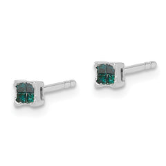 QE10762 White Night Sterling Silver Rhodium-plated Blue Diamond Post Stud Earrings