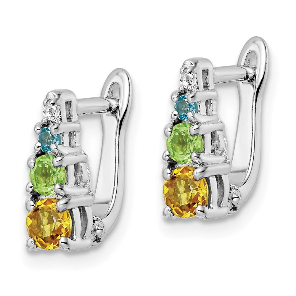 QE16650RB Sterling Silver RH-plated .77t.w. PE/CI/BT/WT Hinged Earrings