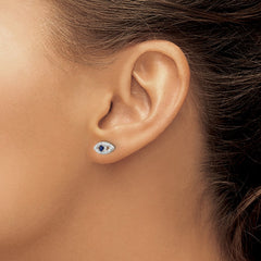 QE17700 Sterling Silver E-Coating Polished Blue & White CZ Evil Eye Post Earrings
