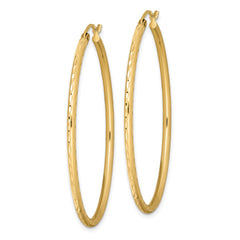 QE8461 Sterling Silver Gold-plated Textured 2mm Hollow Oval Hoop Earrings