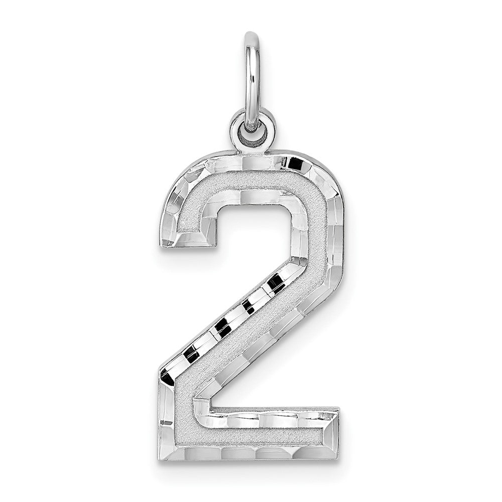 Sterling Silver Rhodium-plated Large Diamond-cut #2 Charm QLN02