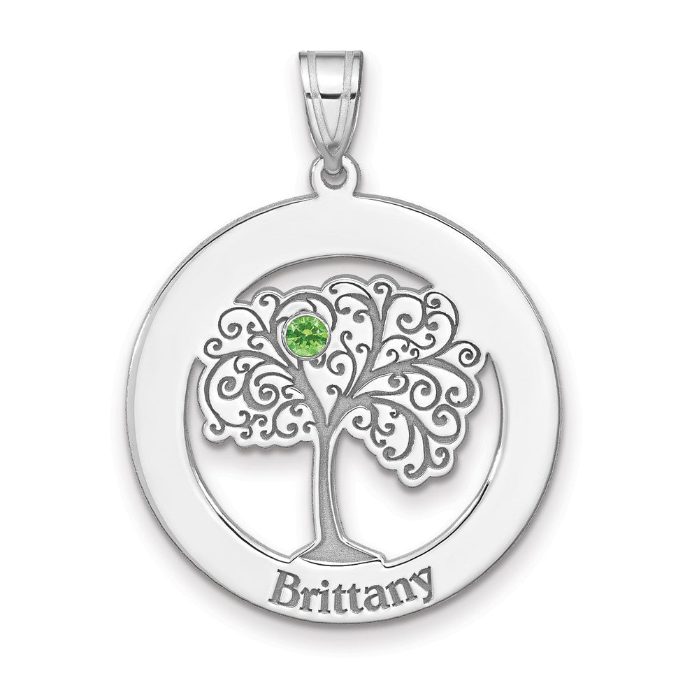 Sterling Silver/Rhodium-plated 1 Birthstone with SS Bezel Family Pendant QMP10_1SS--6