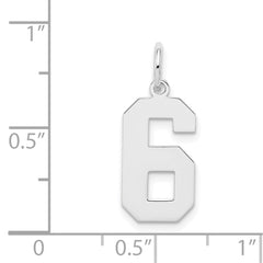 Sterling Silver/Rhodium-plated Polished Number 6 Charm QMS06
