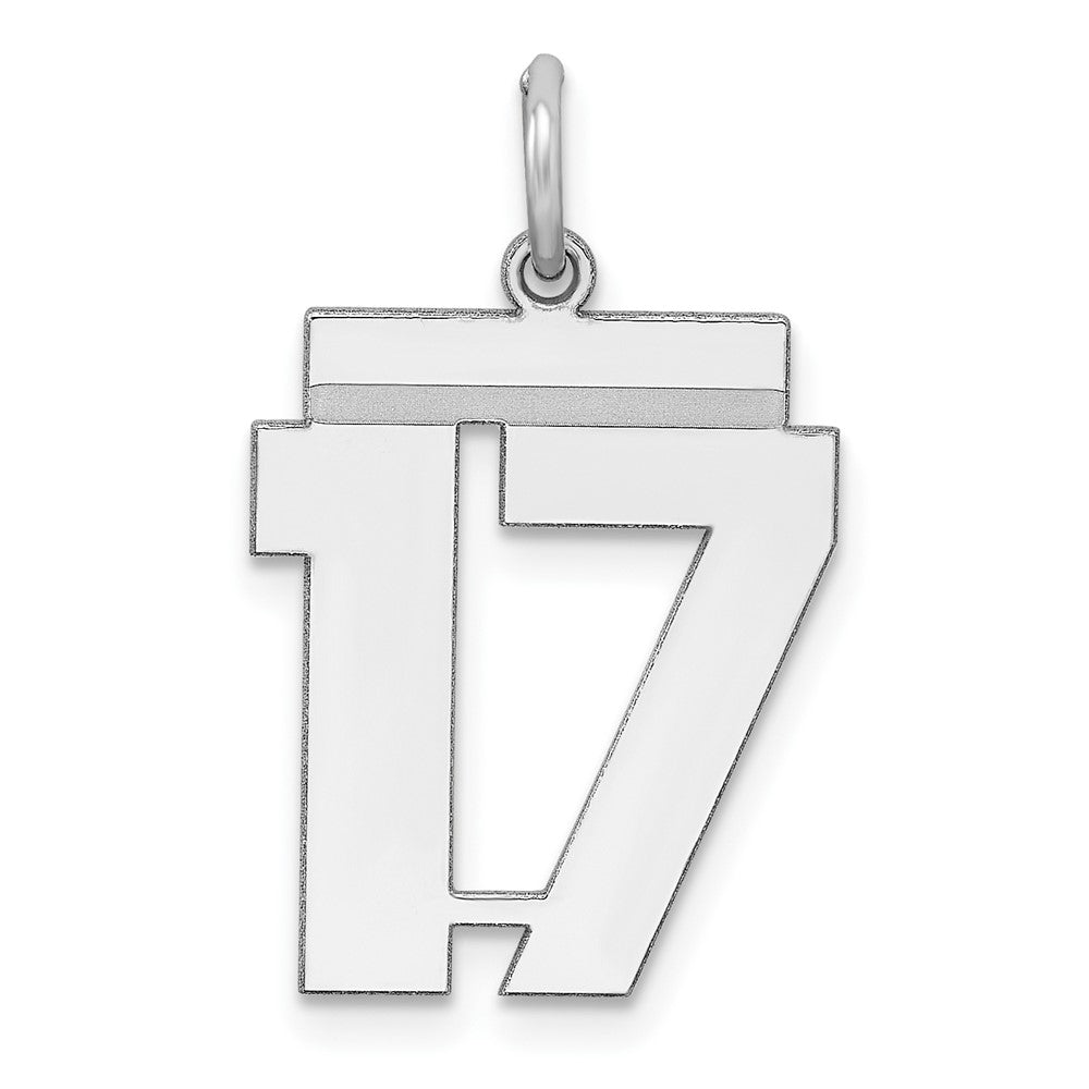 Sterling/Silver Rhodium-plated Polished Number 17 Charm QMS17
