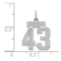 Sterling Silver/Rhodium-plated Satin Number 43 Charm QPS43