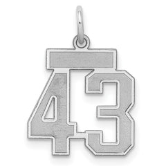 Sterling Silver/Rhodium-plated Satin Number 43 Charm QPS43