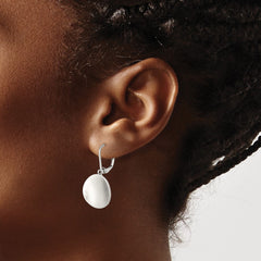 SRE1166 Chisel Stainless Steel Polished Curved Disk Dangle Leverback Earrings