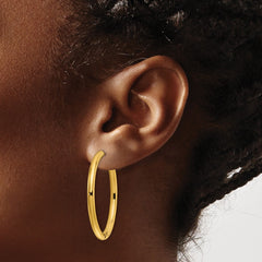 SRE1479 Chisel Stainless Steel Polished Yellow IP-plated 3mm Hinged Hoop Earrings
