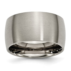 Chisel Titanium Brushed 12mm Half Round Band