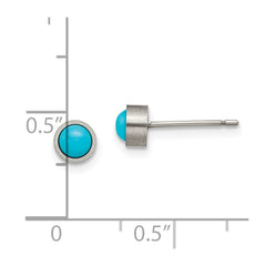 TBE108 Chisel Titanium Brushed Turquoise 5mm Stud Earrings