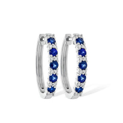 Parkplace Jewelers 14KT Gold Earrings E226-40424