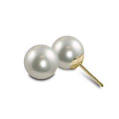 Parkplace Pearls 14KT Yellow Gold Freshwater Pearl Earring 926223/GRY