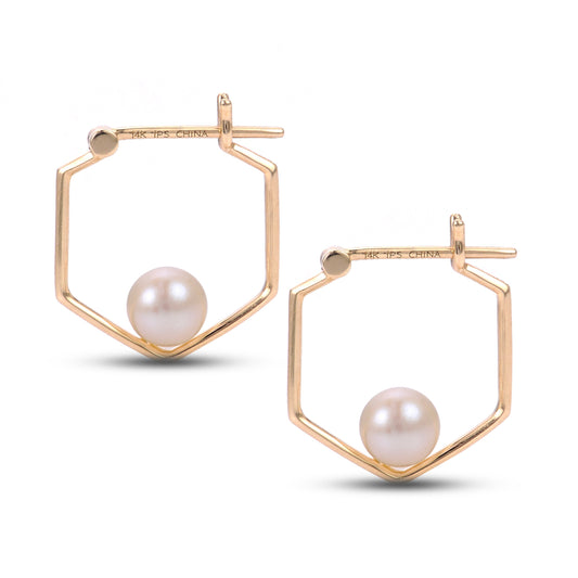 Parkplace Pearls 14KT Yellow Gold Freshwater Pearl Earring 926820/FW