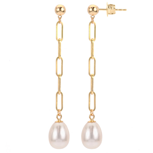 Parkplace Pearls 14K Yellow Gold Freshwater Pearl Paperclip Chain Earrings 928201/FW
