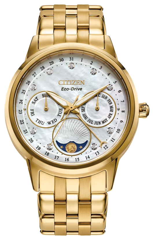 Citizen Calendrier FD0002-57D