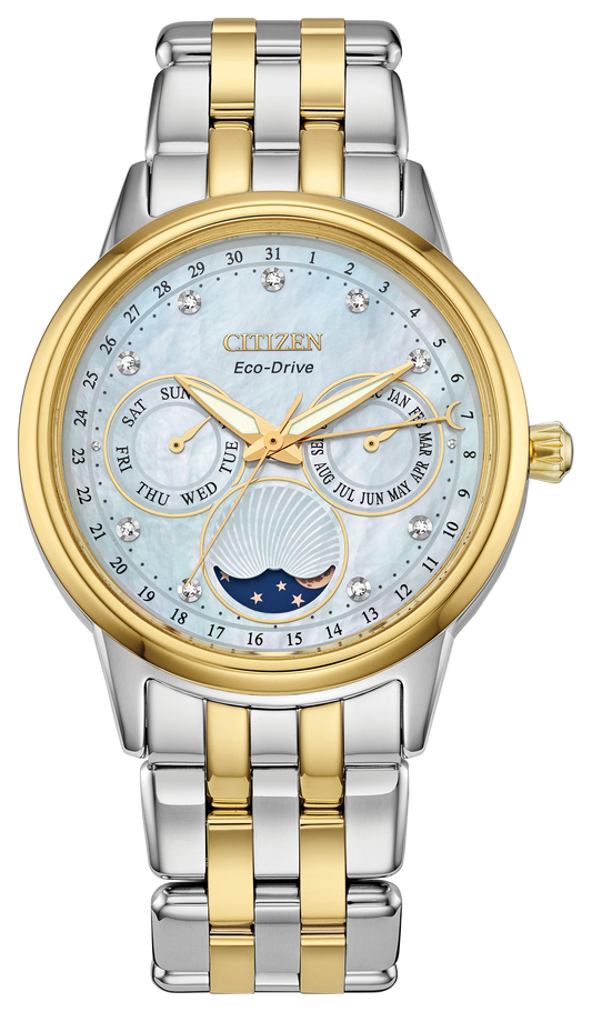 Citizen Calendrier FD0004-51D