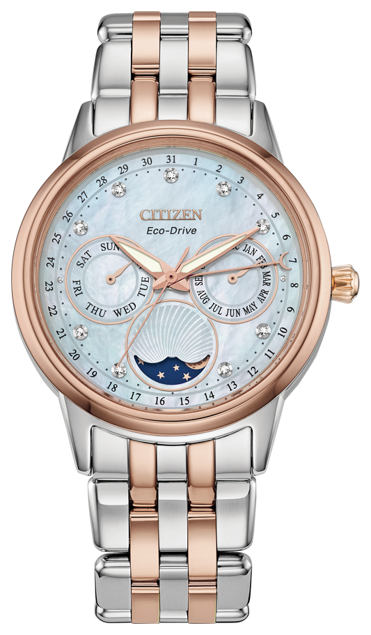 Citizen Calendrier FD0006-56D