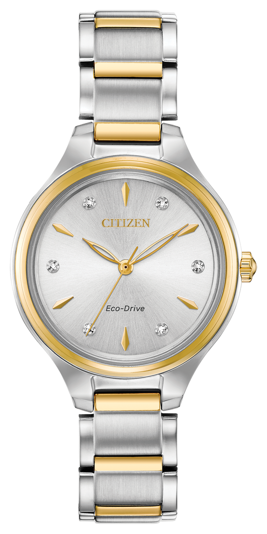 Citizen Corso FE2104-50A