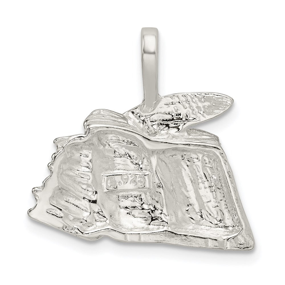 Sterling Silver Books with Quill Charm QC3094