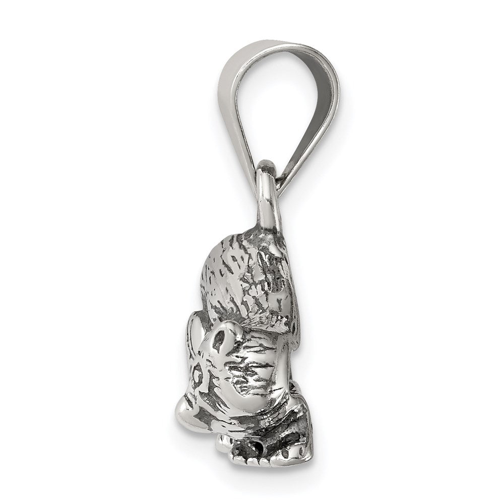 Sterling Silver Antiqued Raccoon Charm QC4106