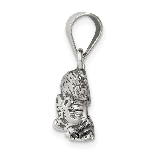 Sterling Silver Antiqued Raccoon Charm QC4106