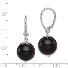 QE12021 Sterling Silver Rhodium-plated Polished Onyx Leverback Dangle Earrings