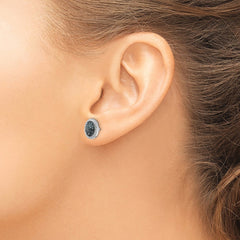 QE12916 White Night Sterling Silver Rhodium-plated Blue Diamond Oval Screwback Post Earrings