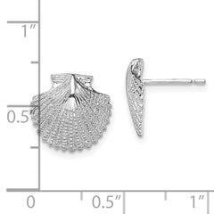 QE15510 De-Ani Sterling Silver Rhodium-Plated Polished Scallop Shell Post Earrings