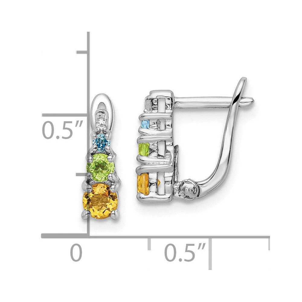 QE16650RB Sterling Silver RH-plated .77t.w. PE/CI/BT/WT Hinged Earrings