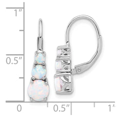 QE17455 Sterling Silver Rhodium-plated Polished Created Opal Leverback Earrings