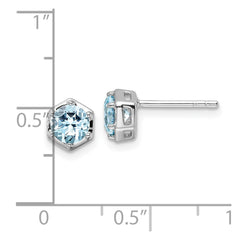 QE17769BT Sterling Silver Rhodium-plated Polished Sky Blue Topaz Post Earrings